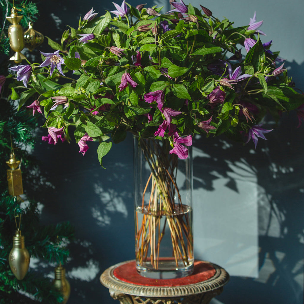 Embrace the Vibrant Essence of Spring Decor in Singapore
