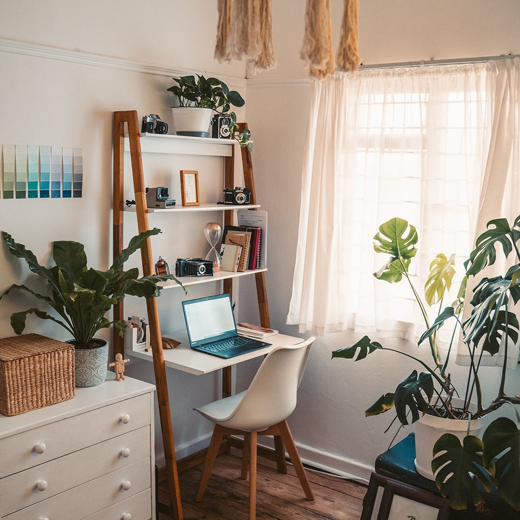 Home office haven: Designing for productivity and comfort